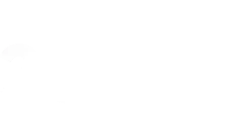2sale