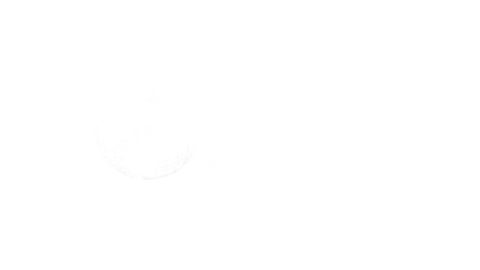 TDMI